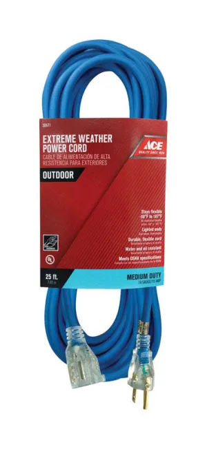 Ace Outdoor 25 ft. L Blue Extension Cord 14/3 SJOW